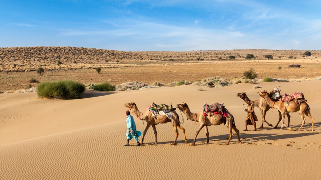 rajasthan